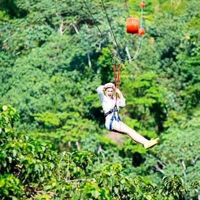 Zipline Park - Imagen 2