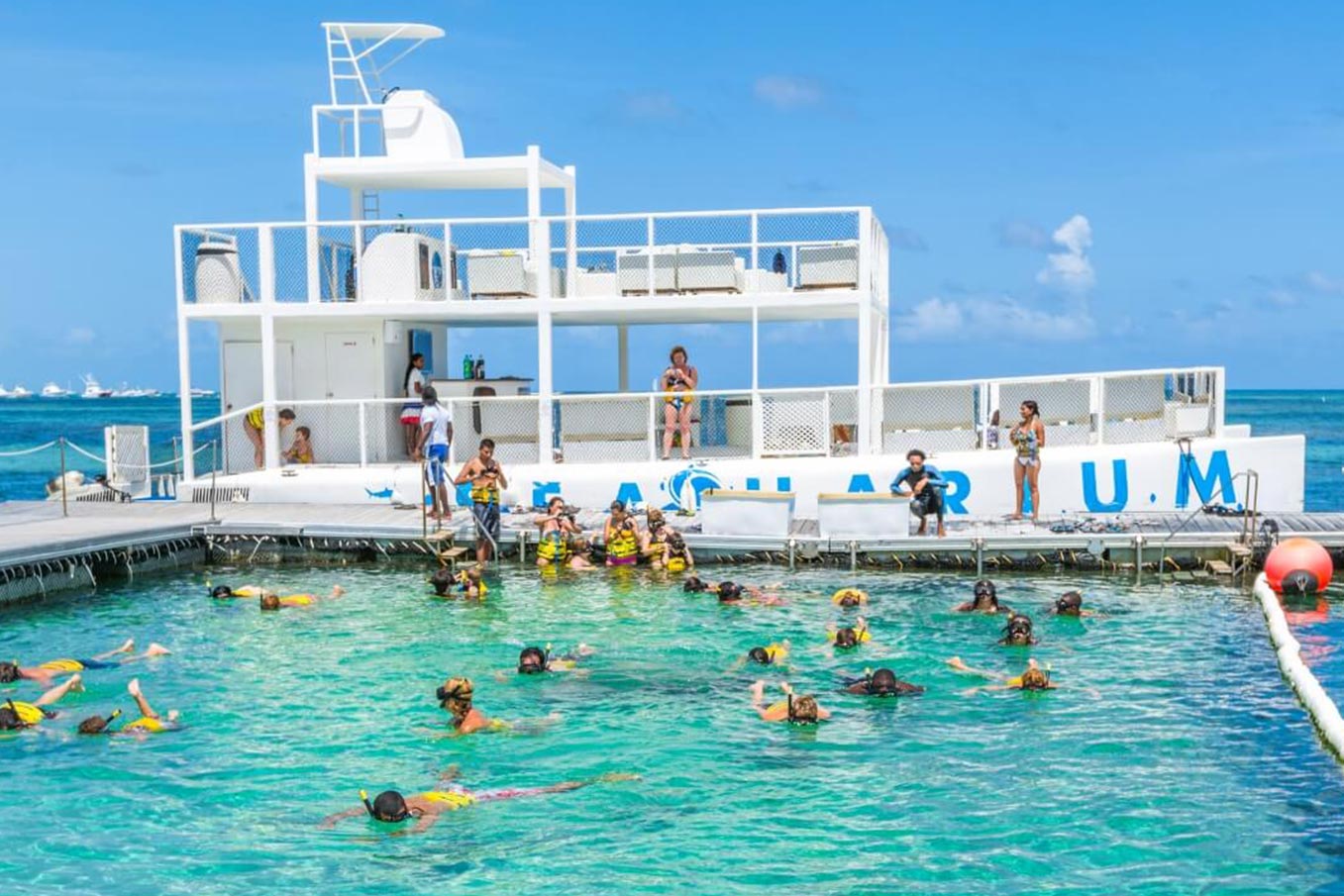 Seaquarium - PUNTA CANA - Tour / Excursiones - Stay Happy RD -- 3