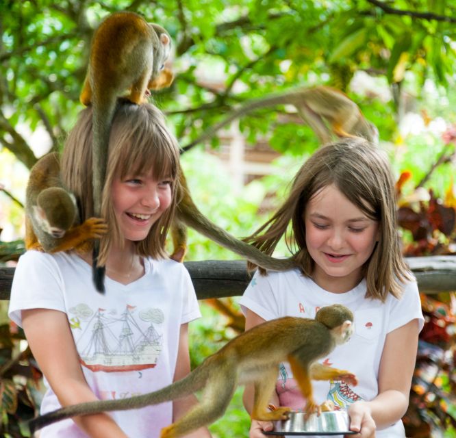 MONKEYLAND - Imagen 5