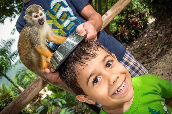 MONKEYLAND - Imagen 6