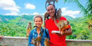 MONKEYLAND - Imagen 2