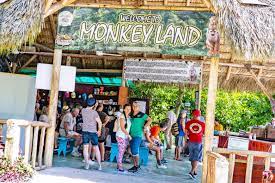 MONKEYLAND - Imagen 3