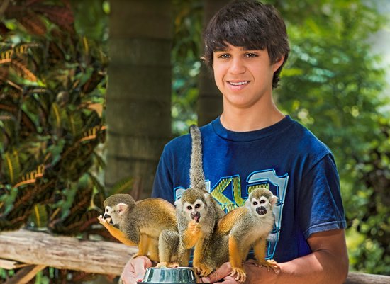 MONKEYLAND